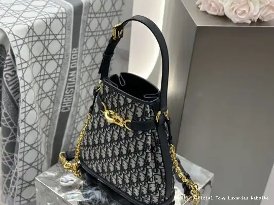 Tony Luxuries Bag-24*24.5*10CM Medium C'est diro 0613